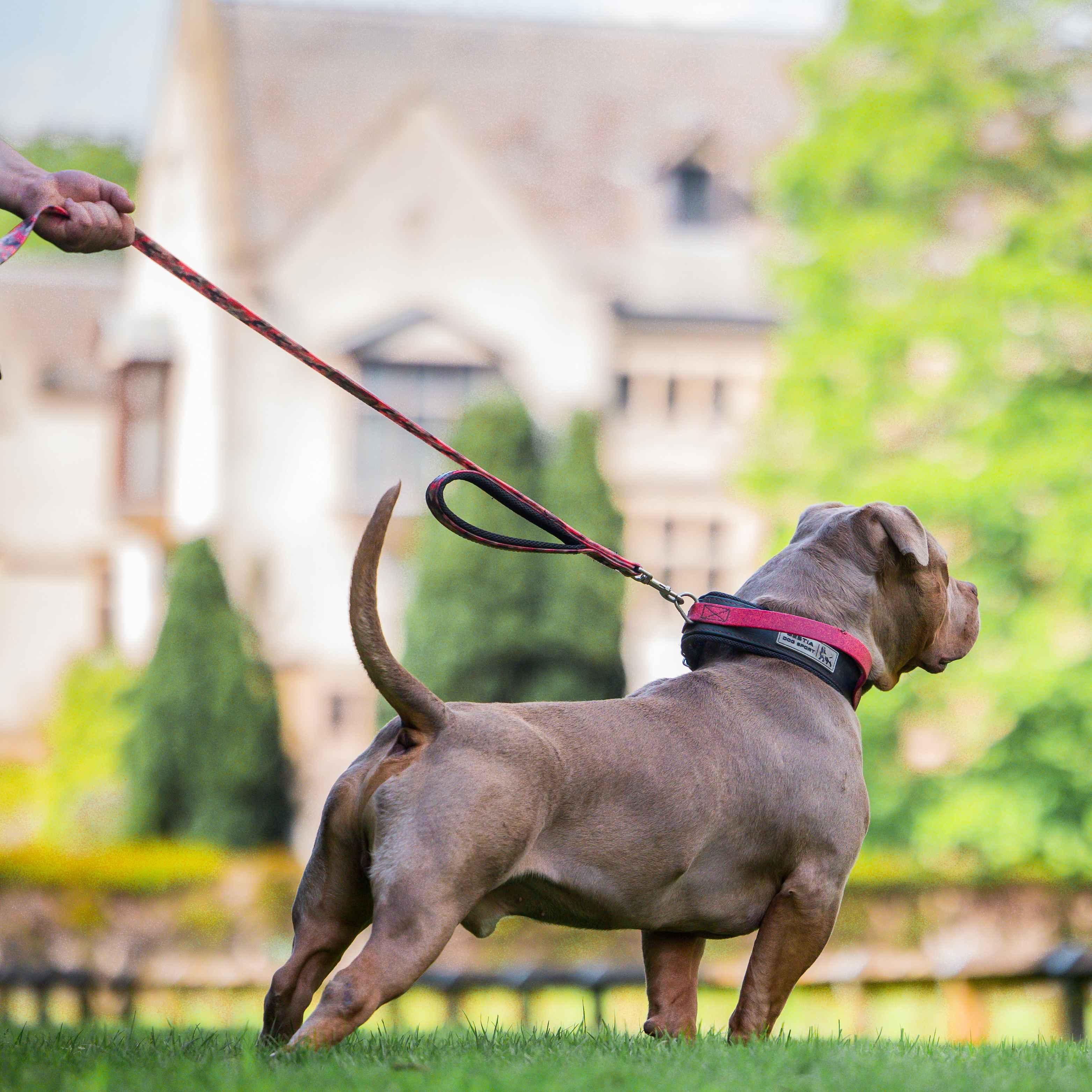 BESTIA DOG SPORT dual handle leash Red Camo